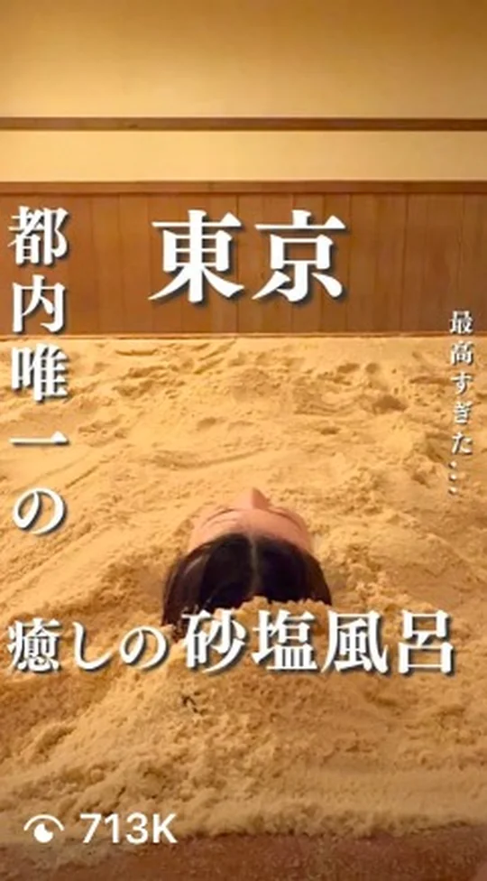 Creator video for a Japan travel and experience campaign, 713 thousand views